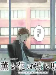 深夜书房慢综艺全集在线观看